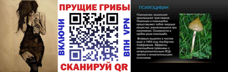 наркота  Рязань  Псилоцибиновые грибы мухоморы 