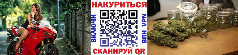 Канабис OG Kush  Рязань 